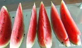 后悔吃瓜视频